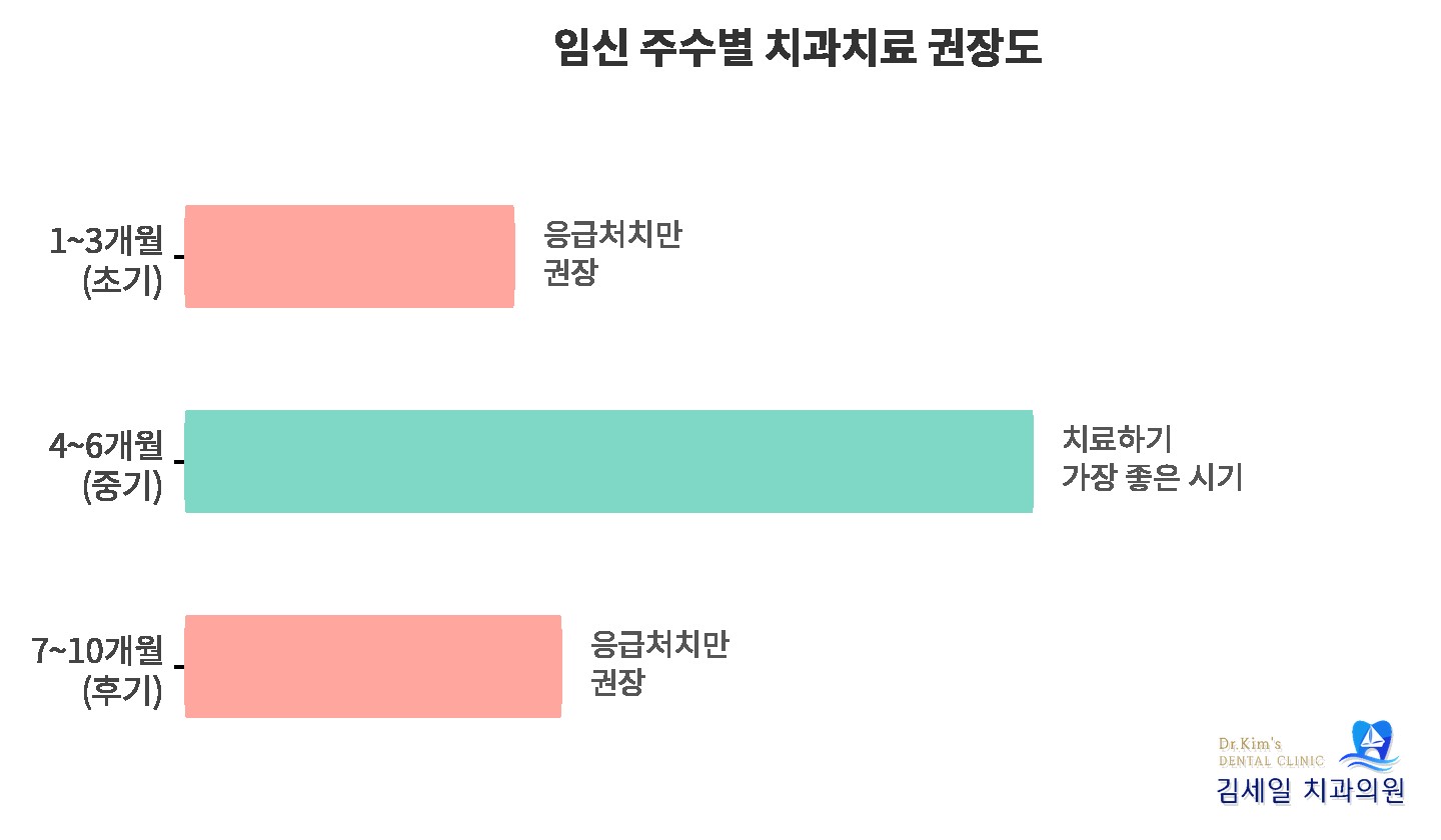 임신 주수별 치과치료 권장도 차트